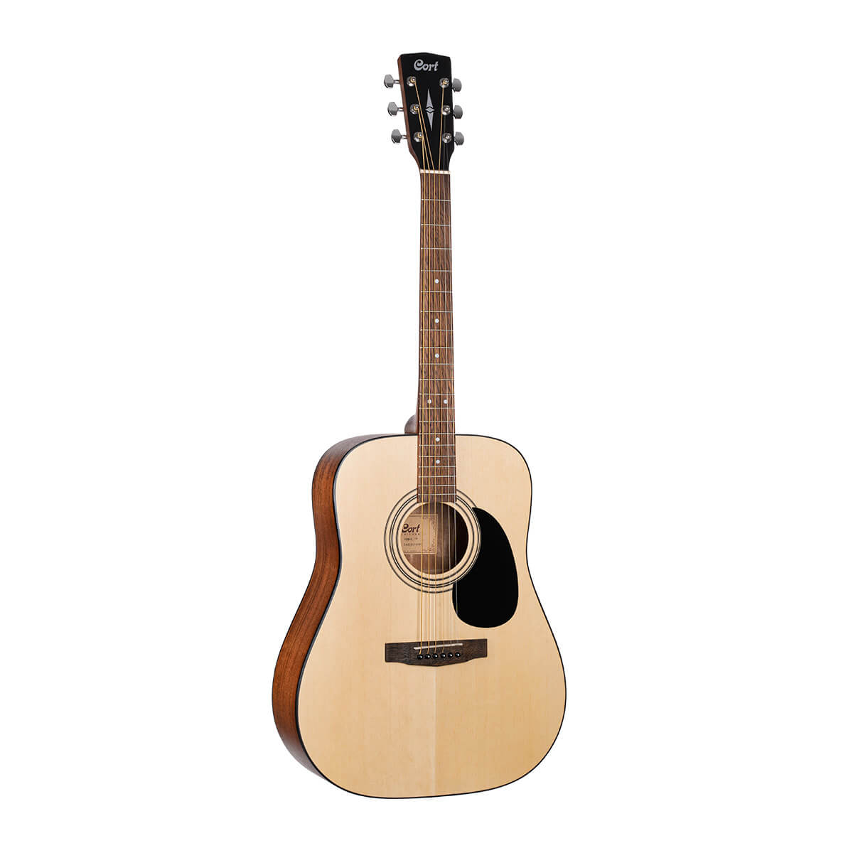 Cort Standard AD810 open pore