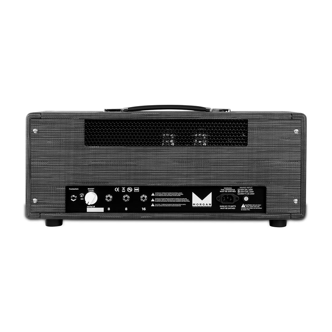 Morgan Amps MVP66 Head Twilight