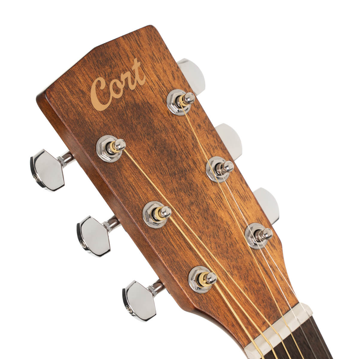 Cort Earth 60 natural