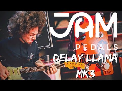 JAM Pedals Delay Llama Mk3